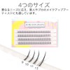 ISHR Partial False Eyelashes, 0.3 - 0.5 inches (9 -