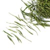 GOARTEA Mao Feng Green Tea 100g / 3.5oz Premium Huangshan