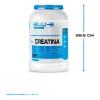 Creatina Blu-e Monohidratada 1k 200 Servicios Sabor Mango