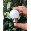 G45 LED Refrigerator Light Bulb - 40W Equivalent, 5W, 6000K