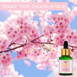 Cherry Blossom Fragrance Oil, MitFlor Single Scented Oil, Large Size Premium Grade Fragrance Oil for Diffuser, Soap & Candle Making Scent, Aromatherapy Oil, Fresh Scent for Home Fragrance, 30ml
