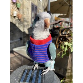 HEZHUO Bird Clothes， Parrot Bird Supplies, Light Flying Clothes, Warm and Comfortable, Tiger Skin, Green Cheek Parrot, Little Sun Parrot, Monk Parrot, Starling, mynah, Senegal Parrot, Mini Macaw (L)