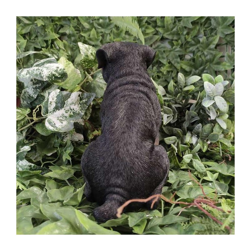 Vivid Arts - Rottweiler - XRL-ROTT-D