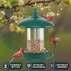 Bird Feeder for Outdoors - 360° Feeding Perch. Green