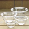 Nagao Polycarbonate Ball, Heat Resistant, Cook Bowl Set, 2.8 inches