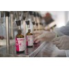 Fatima's Garden Argan Oil for Face, Hair, Skin and Nails