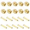 PATIKIL Brass Compression Sleeves Ferrules for 1/8 Inch OD Hose