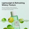 Green Plum Refreshing Toner : AHA + BHA