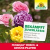 NEUDORFF ROSEN - PILZFREI 16 ML 448
