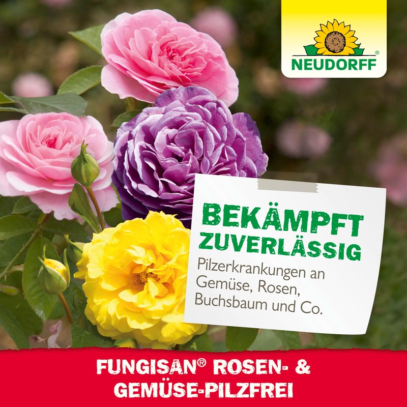 NEUDORFF ROSEN - PILZFREI 16 ML 448