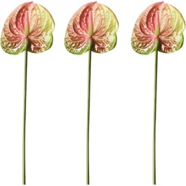 AtHomeYuyue 6pcs Artificial Anthurium Lily Flowers 22" Fake Tropical Flowers for Vase Bouquets Home Office Wedding Decor(Green Pink)