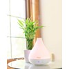 Crane Small Ultrasonic Diffuser and Air Humidifiers for Bedroom and
