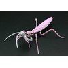Fujimi Model Free Research Series No. 232 Evangelion Edition Wolk