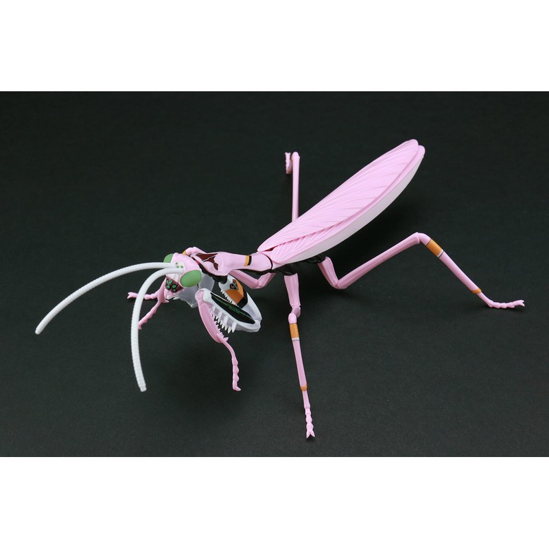 Fujimi Model Free Research Series No. 232 Evangelion Edition Wolk