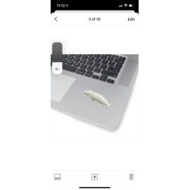 Dugong Sticker - Manatee Sticker