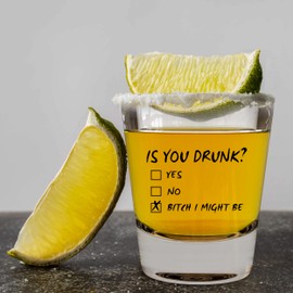 LitGifts Is You Drunk Design, Funny Shot Glasses for Adults, Drinking Gifts for Women or Men, Hilarious Inappropriate Stuff for Friends, Made in USA 1.75 Ounce Dishwasher Safe