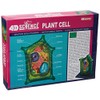 Famemaster 4D-Science Plant Cell Anatomy Model