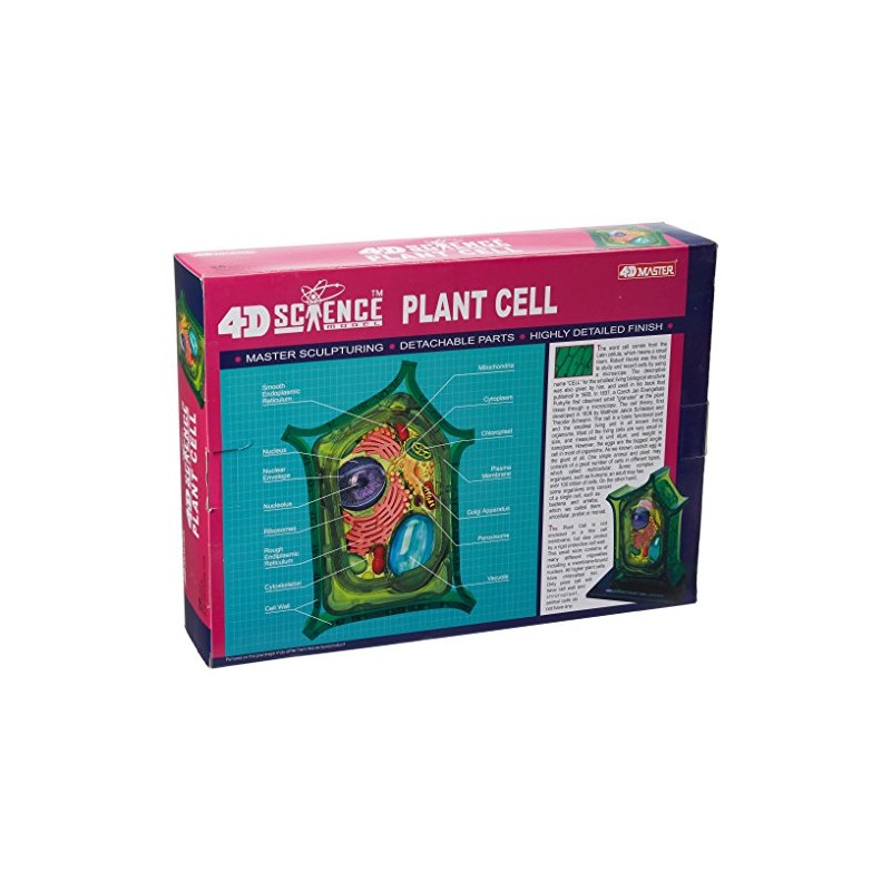 Famemaster 4D-Science Plant Cell Anatomy Model
