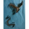 Perfect Products 71 72 73 74 Dodge Charger Hood Latch