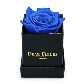 Dear Fleurs Los Angeles Petit Rose | Real Roses That Last a Year | Preserved Rose in a Box (Azure Blue, Black Leather Finished Box)