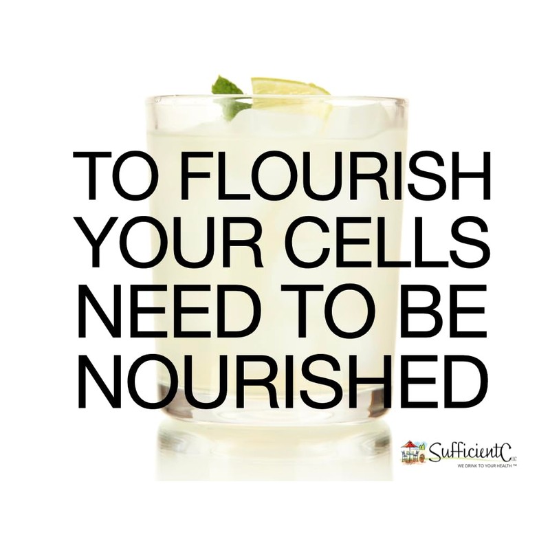 Sufficient-C High Dose Non-GMO Vitamin C Lemon Peach Immune-Ade Drink