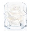 A 100% Real Rose That Lasts Years - Eternal Petals,