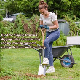 Berry&Bird Garden Digging Spade, 41" Stainless Steel Square Border Spade, Heavy Duty European Shovel with D-Grip Handle, Traditional English Style Flat Shovel for Digging, Yard Work, Transplanting