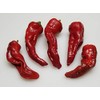 Chimayo Pepper 10+ Seeds