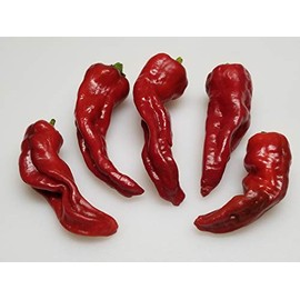 Chimayo Pepper 10+ Seeds