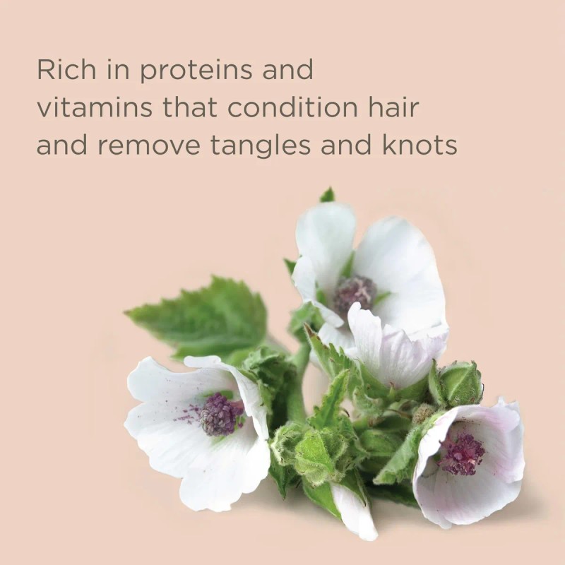 Champú Y Acondicionador Hairitage Pass On The Brass Purple