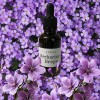 SecretsofSedona.org Berberine+ Drops, Herbal Support for Metabolism & Detox