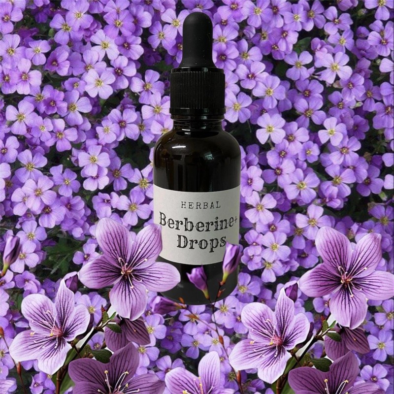 SecretsofSedona.org Berberine+ Drops, Herbal Support for Metabolism & Detox
