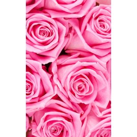 Pink Rose Floral Notebook: Classic Notebook Floral Design Journal | Lined Floral Journal | Beautiful Flower Journal Notebook | Gift Diary Gratitude | ... 5 x 8 120 Pages (Floral Notebooks For Women)