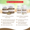 Real Mushrooms Real Mushrooms Lions Mane Powder - Organic Mushroom
