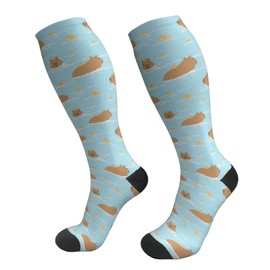 HYEECR Cartoon Capybara Orange Compression Socks For Women Men Circulation Graduated Supports Socks For Athletic Medical Travel Flight