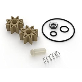 GPI - Complete Overhaul Kit for G8P Portable Fuel Transfer Pump (GPI Genuine Accessory 147500-1)