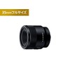 SONY(ソニー) マクロ フルサイズ FE 50mm F2.8 Macro デジタル一眼カメラα[Eマウント]用 純正レンズ SEL50M28