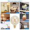 Edison Led Light Bulbs 4W 2200K Warm Light Transparent Energy