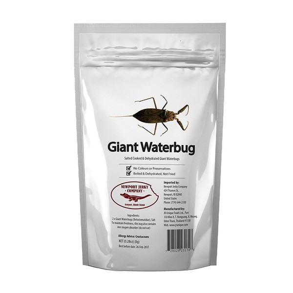 Giant Edible Water Scorpion 2 per Pack