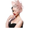 DRESHOW Fascinator Hats for Women Pillbox Hat with Veil Headband