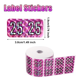 500pcs 2025 Year Stickers, 1.49x0.74 Inch File Folder Year Labels 2025 Holographic Sticker 2025 File Folder Stickers 2025 Foil Stickers for Chart Folder Office Supplies (Pink, Purple)
