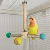 Birds Toy Wooden Carousel Perches for Budgies Parrot Bird Playground