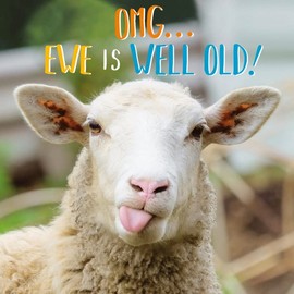 Abacus Cards General Male/Female Funny Birthday Card - Rude Ewe - Eco-Friendly & Recyclable - Made in the UK