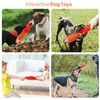 PetiFine Tug of War Dog Toys - Squeaky Dog Toys