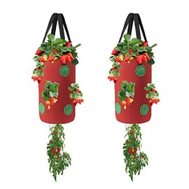 Miewslan 2 Packs Upside Down Planter, Garden Hanging Strawberry Tomato Grow Bag Potato Vegetable Planting Bag with Holes