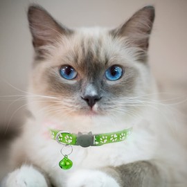 Hepplly 2 Pack Cat Collars Quick Release Reflective Kitten Collar with Bell & Safety Release (Light Green)