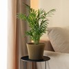 KADAX Small Plastic Flower Pot, Succulent and Herb Planter, Modern