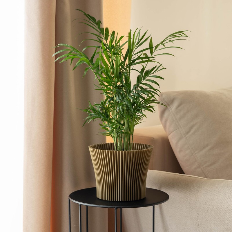 KADAX Small Plastic Flower Pot, Succulent and Herb Planter, Modern