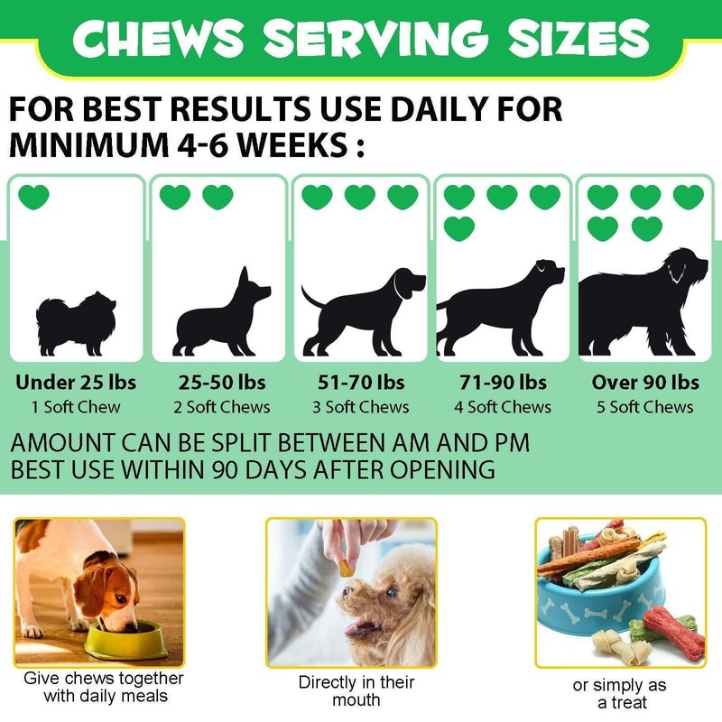Probiotics for Dogs - Digestive Health and Immune Support, Dog