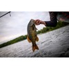 PowerBait Pro Twitchtail Minnow